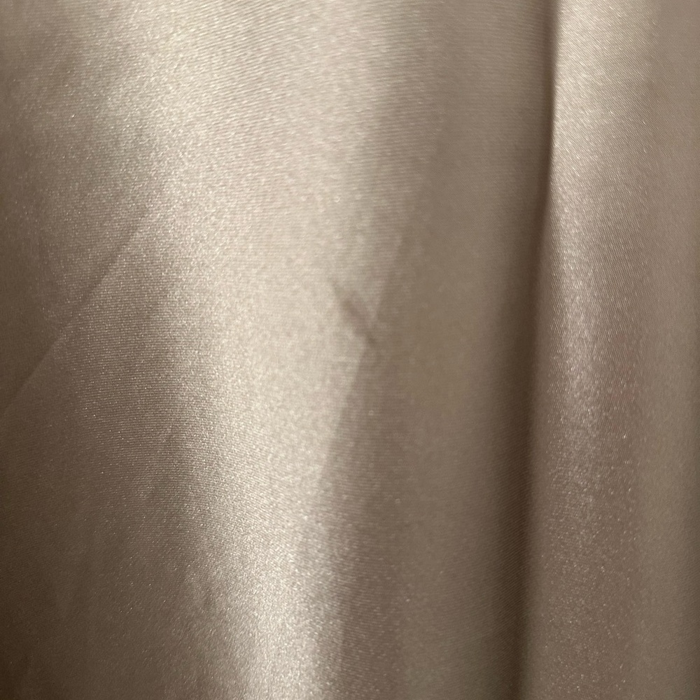 Zara Satin Midi Skirt - Picture 6 of 6
